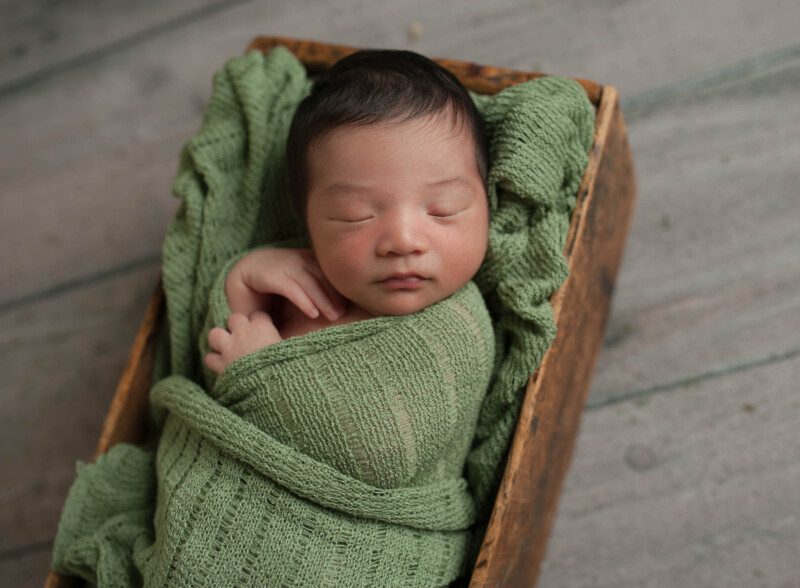 Sonoma County Newborn Photographer