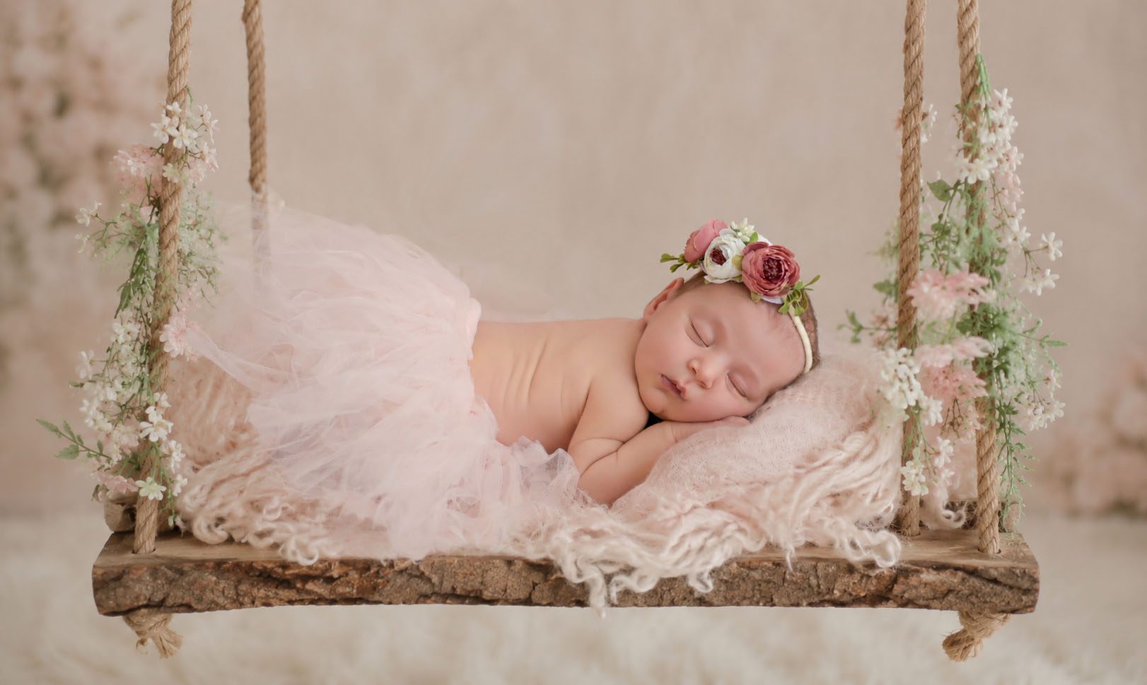 newborn photographer in Northern VA